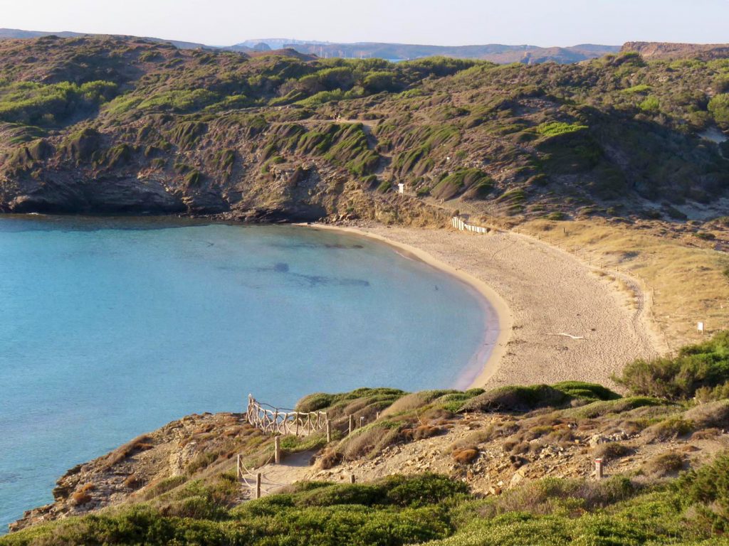 tortuga fondeos en menorca 2