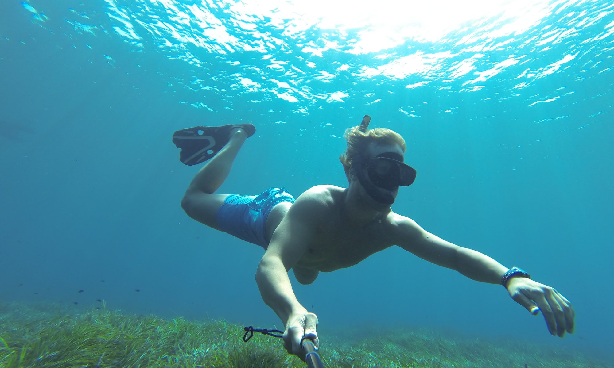 protección de la posidonia